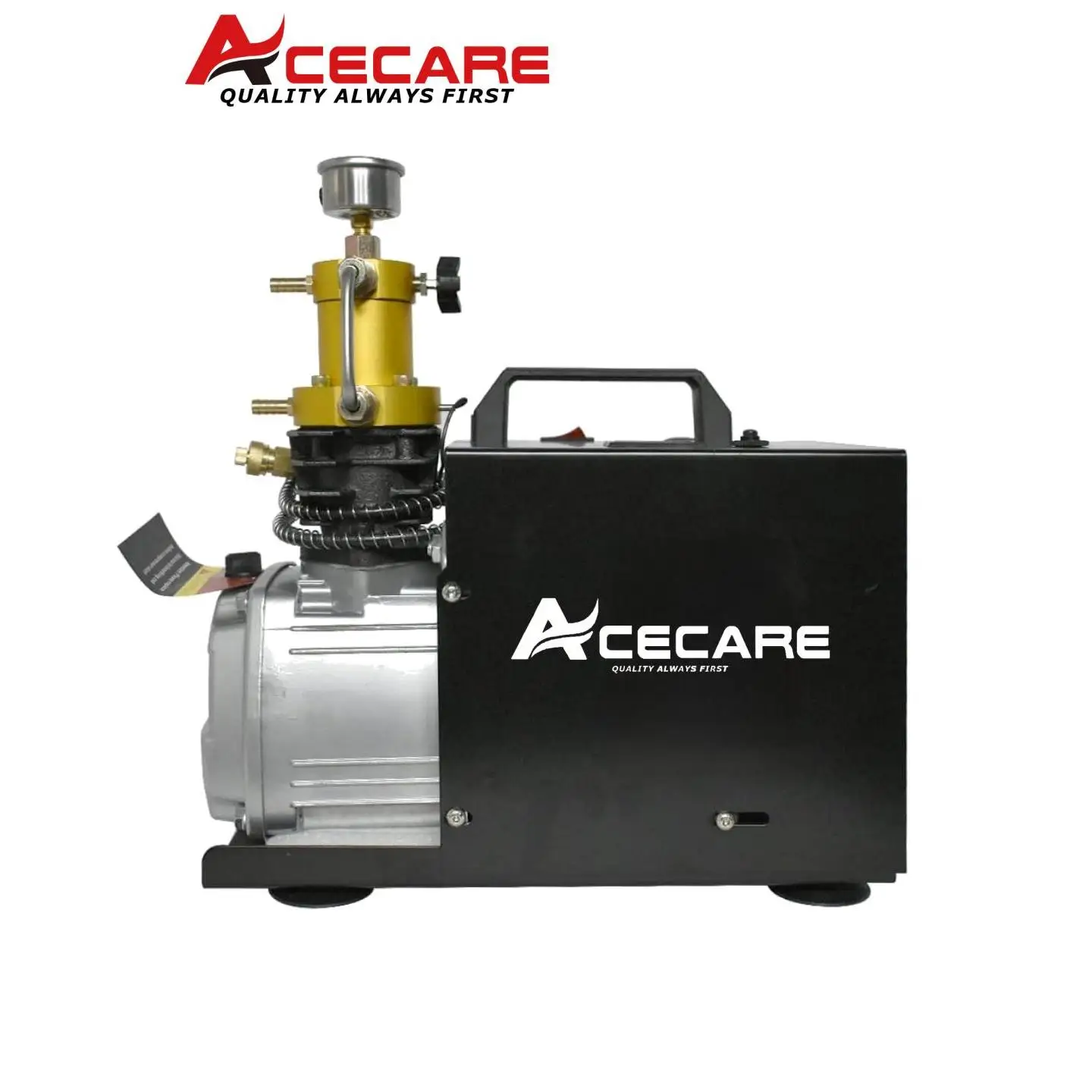 ACECARE-Compresseur d'air haute pression électrique, pour plongée sous-marine, remplissage précieux, 220V/110V, 4500Psi, 300Bar, PCP, crucES031