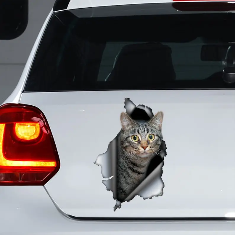 Tabby Cat decal , Tabby Cat magnet, Tabby Cat sticker,Cat car decal