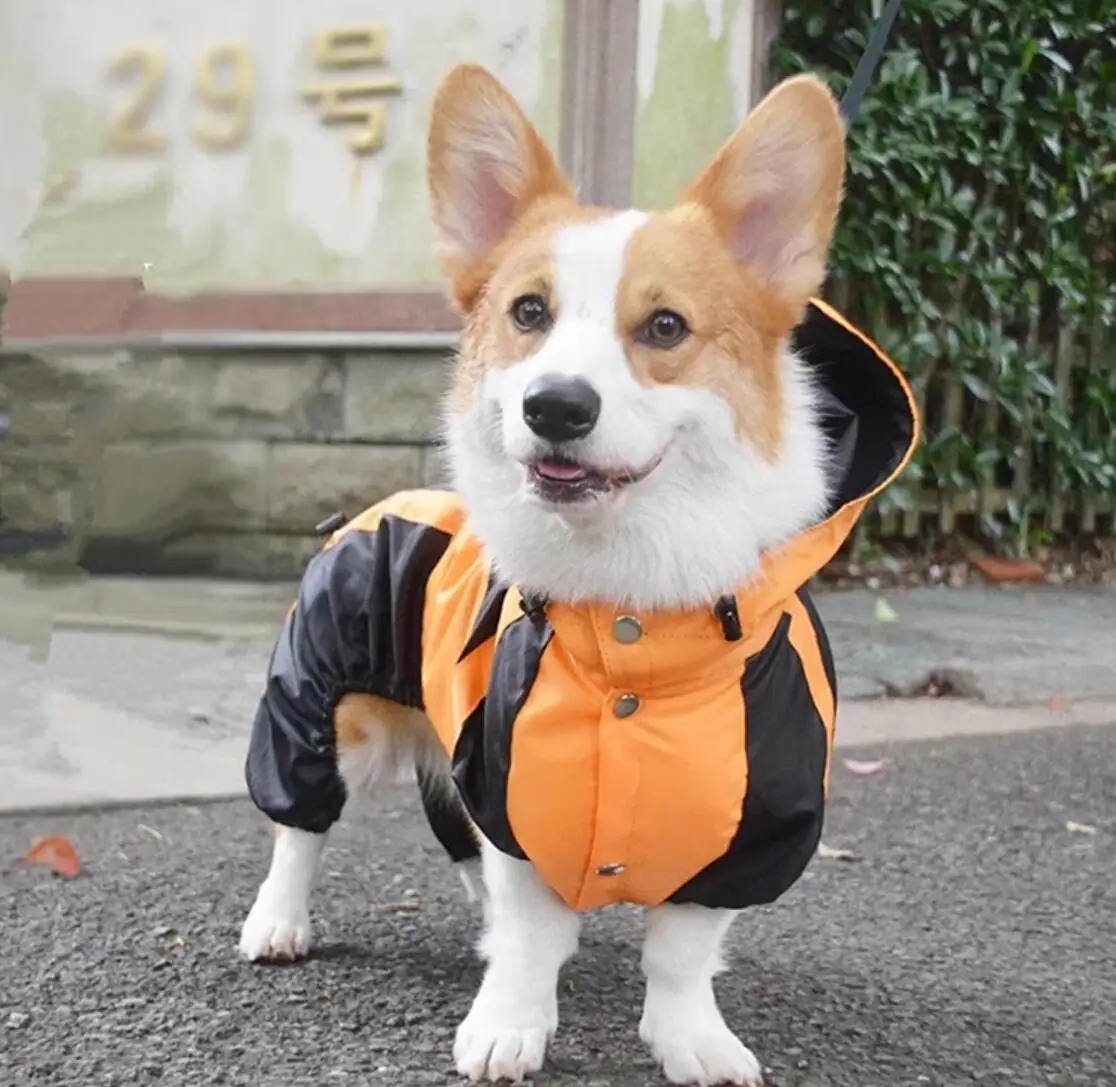 

Одежда для собак Corgi, комбинезон, водонепроницаемая одежда, дождевик для собак с вышивкой, валлийский корги, дождевик с капюшоном, дождевик для домашних животных, Прямая поставка