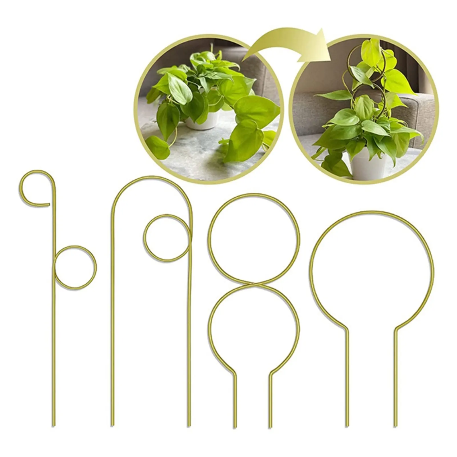 

4Pcs Plant Support Garden Stake Stand Round Vine Climbing Rack Garden Balcony Plant Flower Metal Trellis Frame Stand Holder