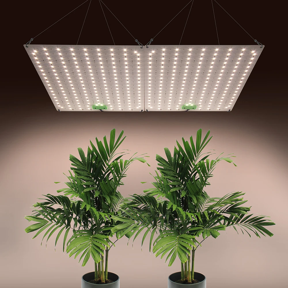 LM281B + Led Volledige Spectrum Groeien Licht Dimmen Timing Functie Remote Contro Voor Indoor Bloem Veg Greenhouse Zaailing