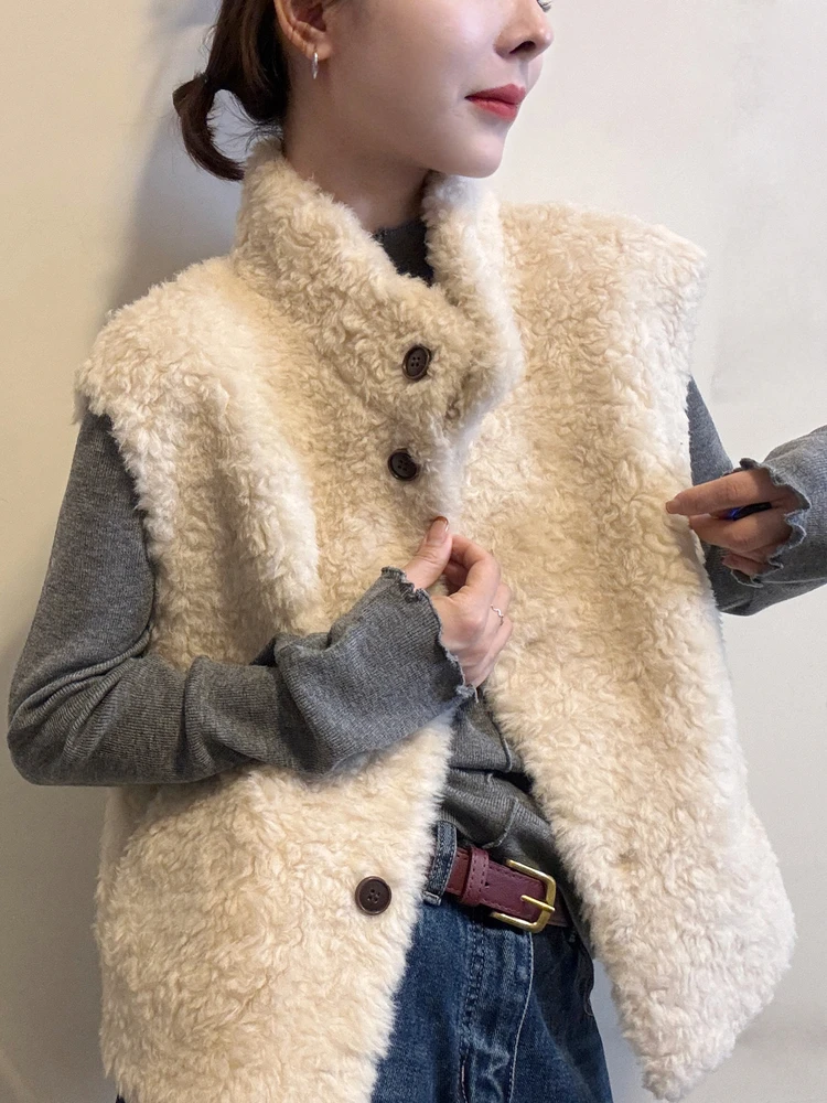 Faionable Lamb Fur Vest Women's Autumn Winter Thiened Svel Jaet Outerwear ort Top Layering Sle Stand Fit P...