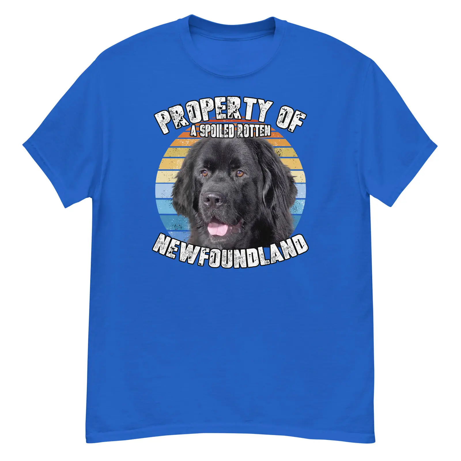 Newfoundland Retro Property Of T Shirt