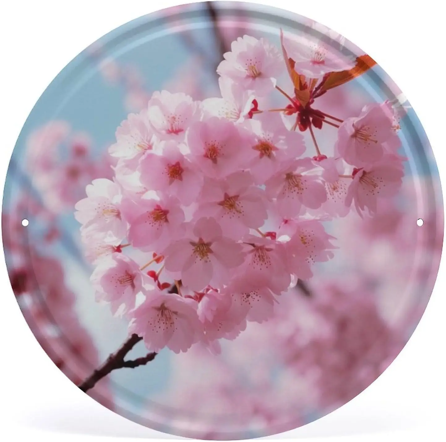 M1,Dwvsfjm Pink Flo… - image