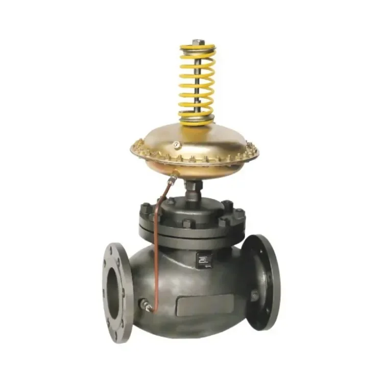 Hot Selling Fashionable Low Pressure Hydraulic Control Valve Self Operated Micro    for Energy