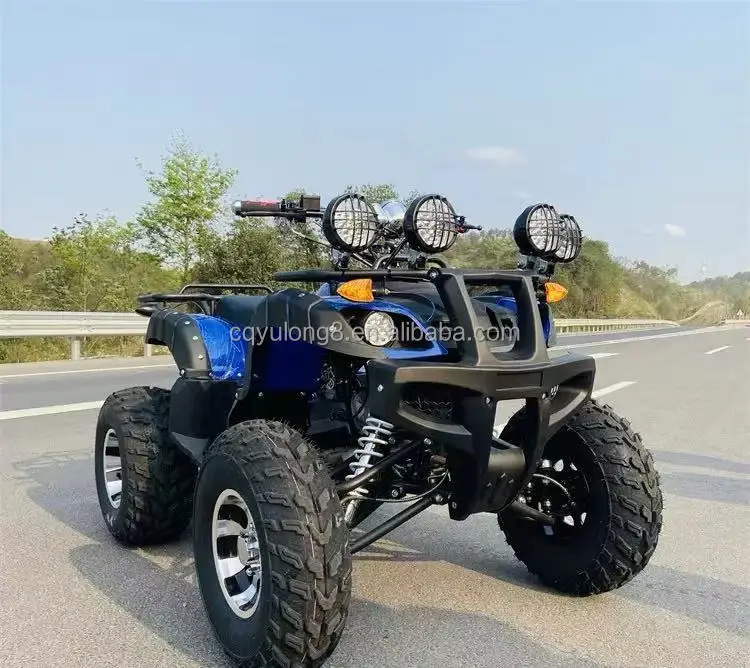 Top Sale 49cc 110cc 125cc 150cc 200cc 250cc 300cc Adult ATV Moto 4-stroke Automatic 2WD 4WD 4x4 Shaft Drive Quad Bike ATV