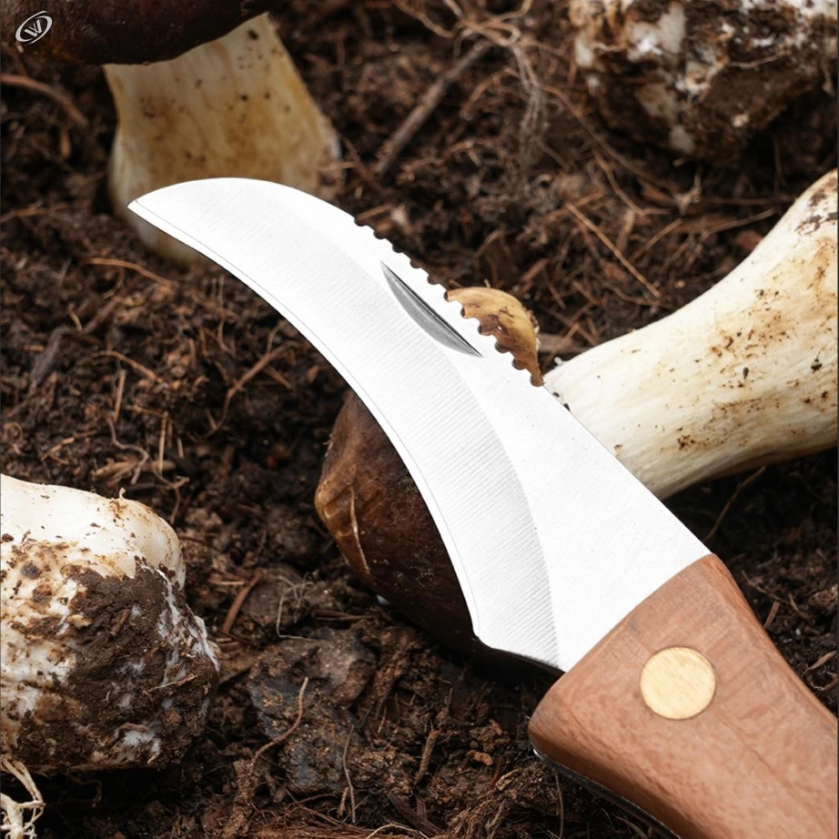 Mushroom Knife Brush Stainless Steel Folding Knife Multifunctional Brush Outdoor Mini EDC Wooden Handle Sharp Camping Harvest