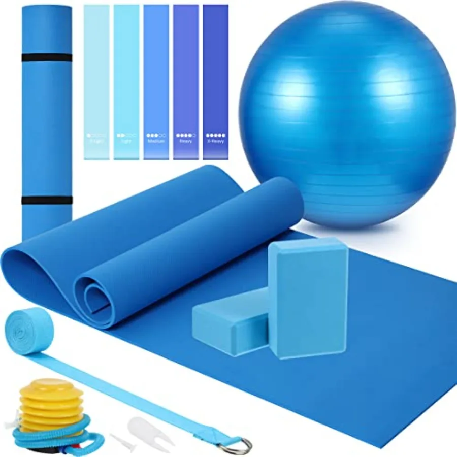 

10 Pcs Yoga Starter Kit Include 6mm Yoga Mat with Carry Strap 2 Blocks 65cm Pilates Ball Stretch Strap 5 Resistance Bands with