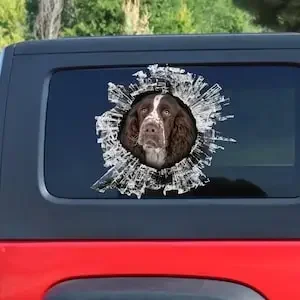 Adesivo, adesivo per finestra Spaniel Springer inglese, adesivo per auto, decalcomania per auto, decalcomania divertente