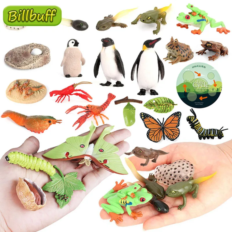 Latest Lifelike Animals Panda Moth Life Cycle Insect Penguin Frog Figurines DIY Action Figures Early Education Toys for Children