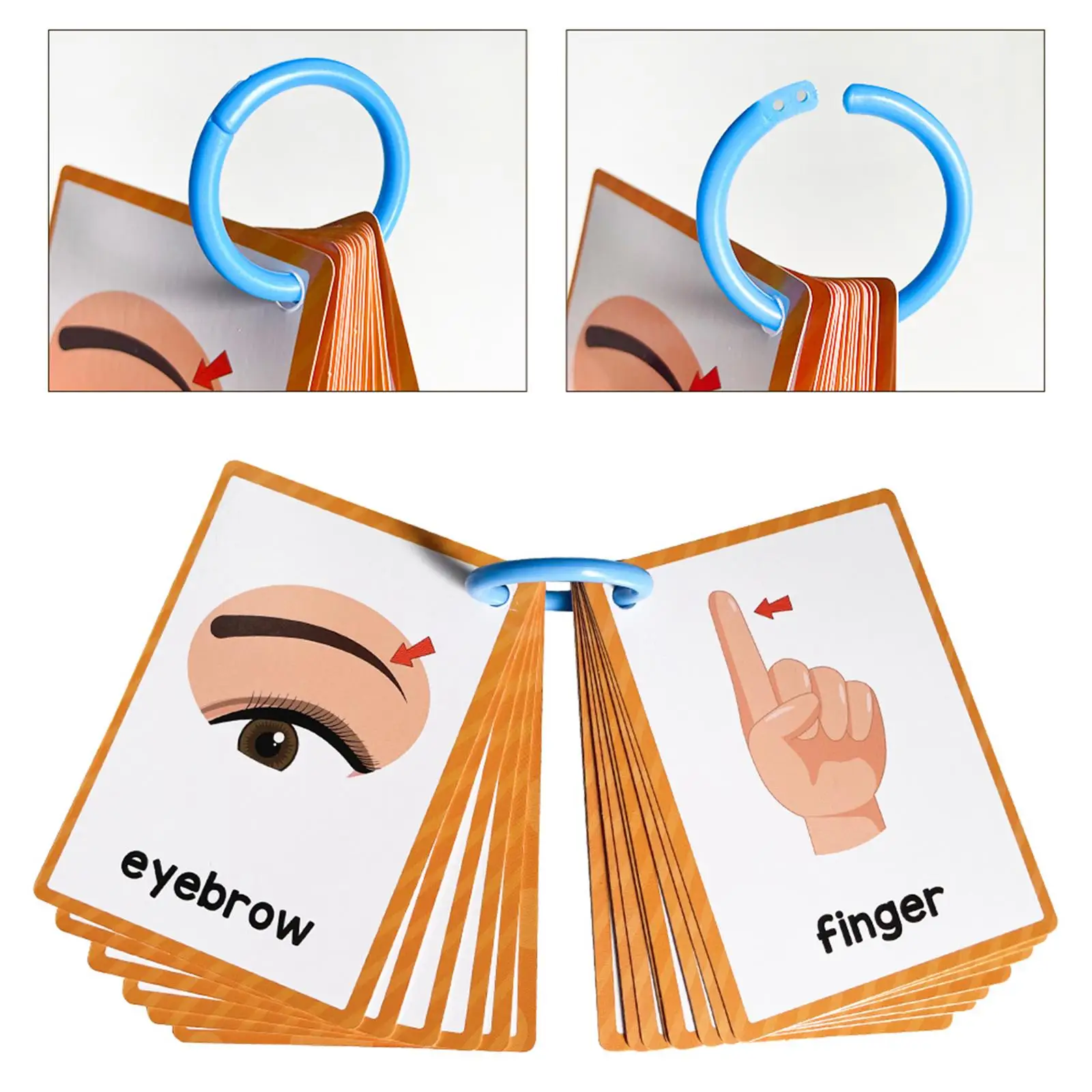 

Детали тела Флэш-карты Инструмент учителя Учебные карты Малыши Детский сад