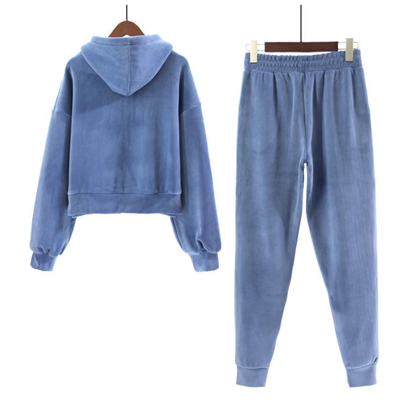 Winter Velvet 2 Pieces Sets Hooded Plush Tops Ensemble High Waist Baggy Ankle Length Harem Pants Suits Solid Color Warm Outfit