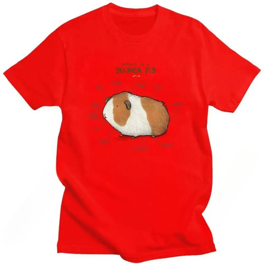 Personality Anatomy of A Guinea Pig T Shirt Women's Cutecore Clothing Summer Animal Pet Fashion Clearance Sales Women's Clothing