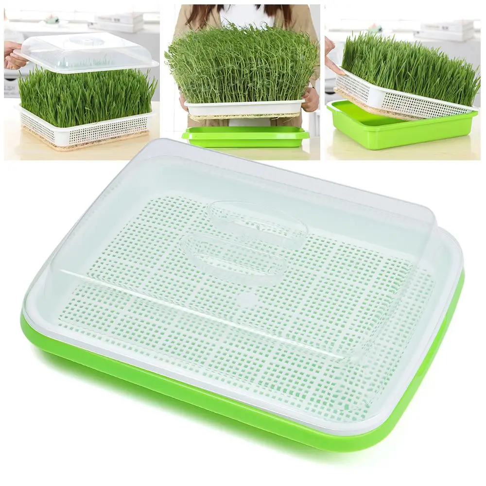 Outdoor Indoor Nursery Paper Hydroponic Tray Grow Nursery Pots Plant Box Seed Sprouter Tray Sprout Pot