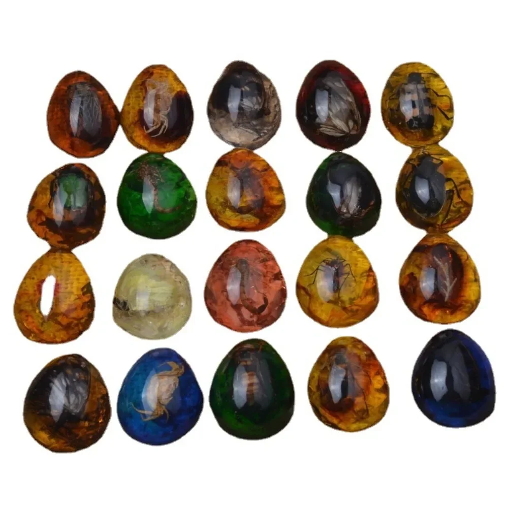 DIY مجوهرات الحرفية قلادة العنبر حجر العنبر كراب الحشرات Spcimen قلادة العقرب النمل قلادة الأحجار الكريمة قلادة الرجال