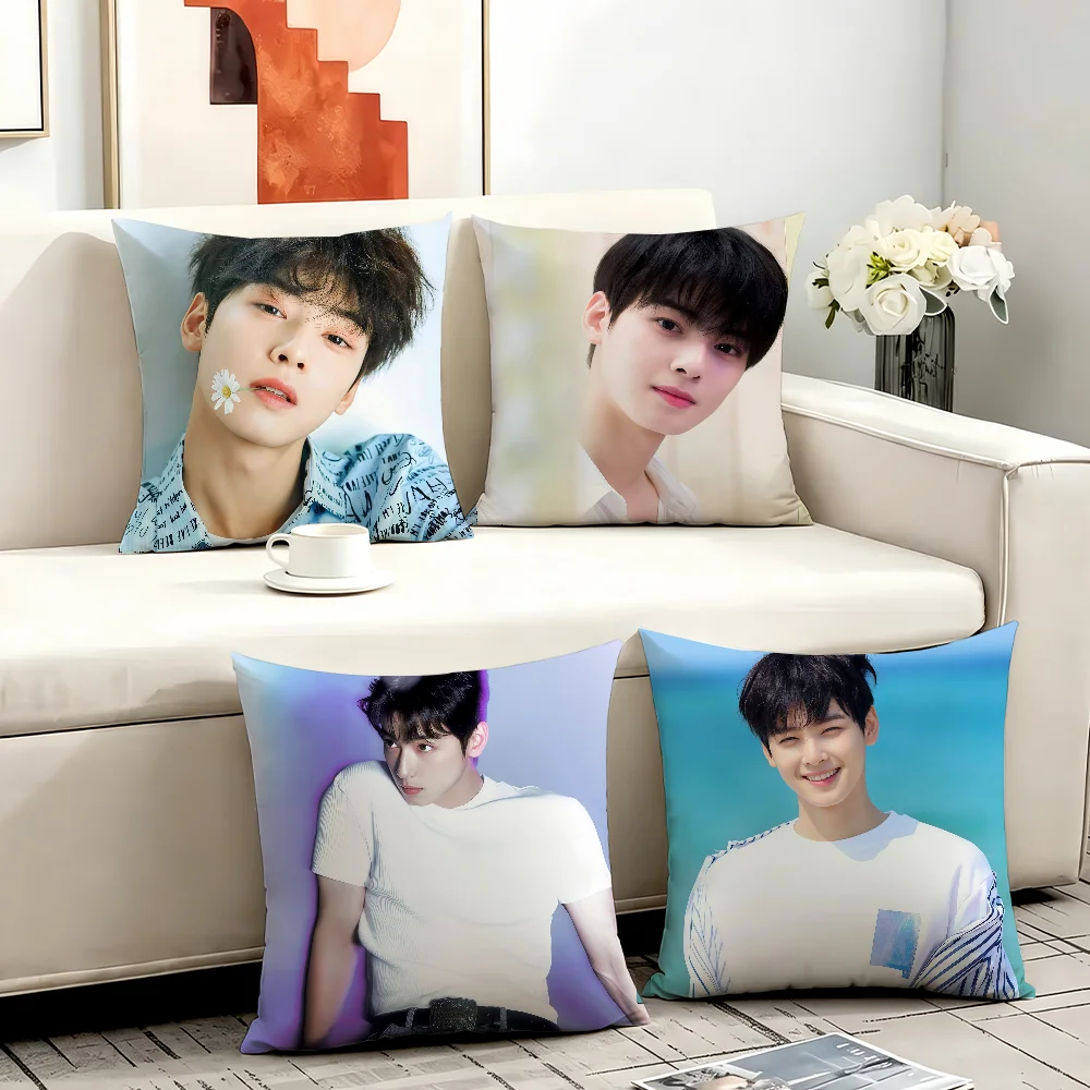 Actor C-Cha Eun-woo cushion cover Anti-dustmite Sofa Cushion Decorative Office Cover Lounge Area Indoor & Outdoor Use