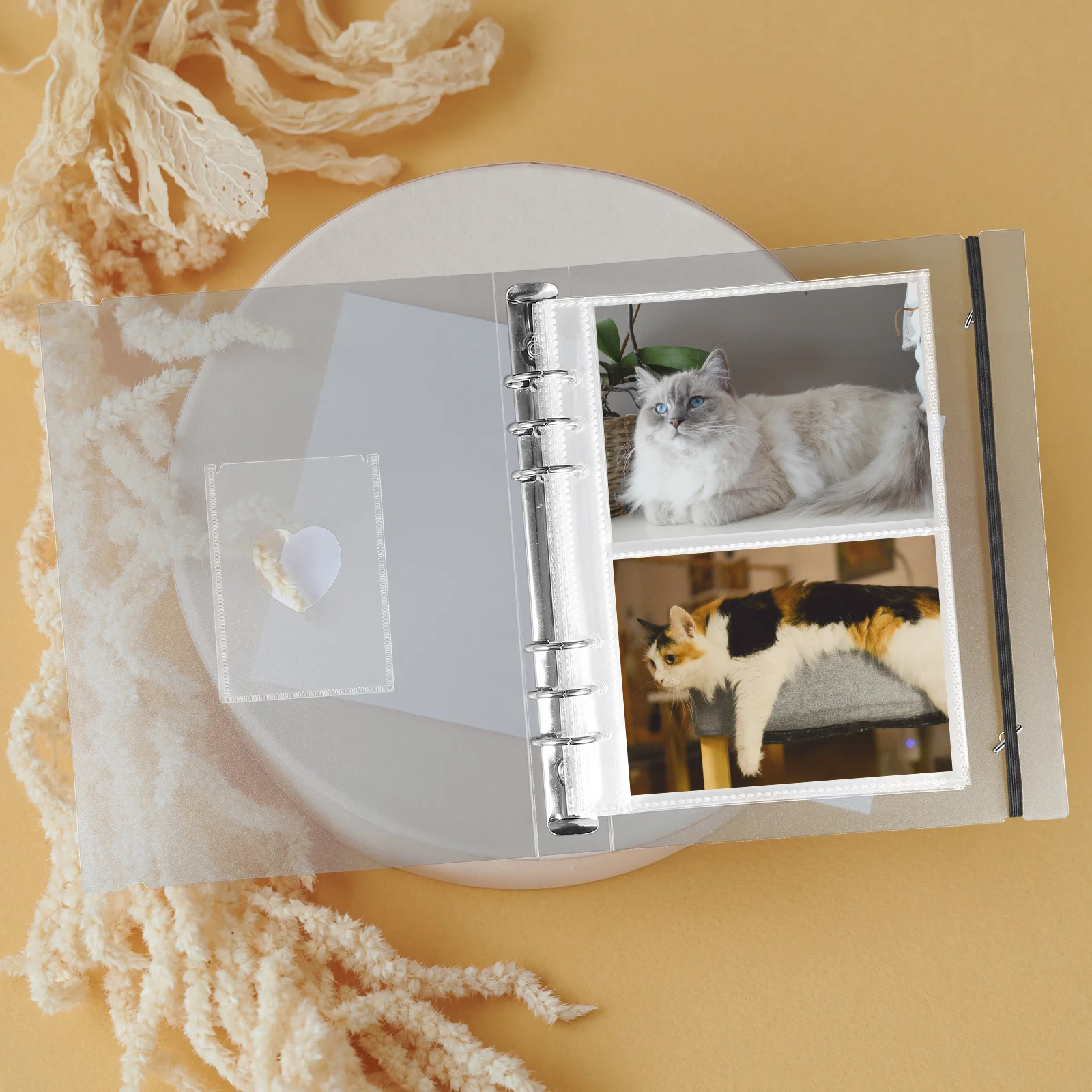 1 set Pp Material Id Credit Gift Cards Storage Binder Pockets Transparent Photo Album Pages Replacements