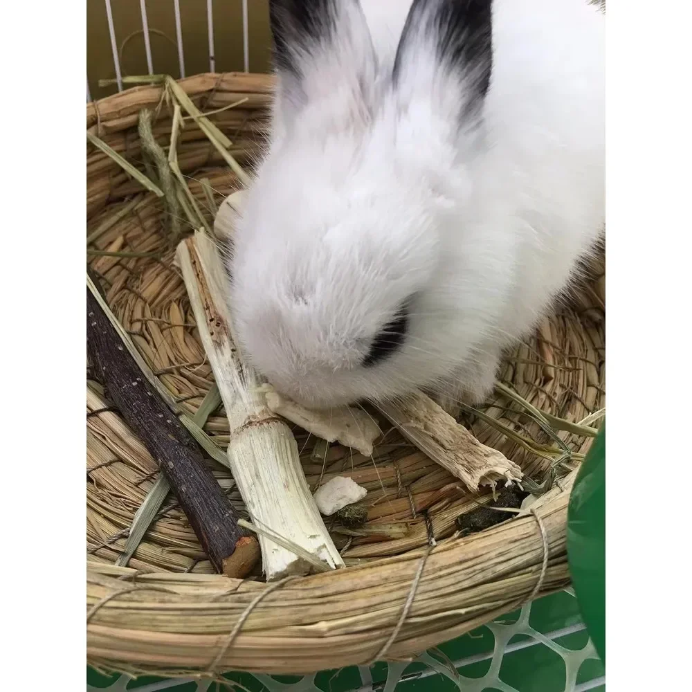 Natural Apple Tree …