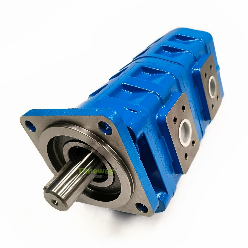 GPP1 Hydraulic Double Gear Pump GPP1-A0C63AHN63A1R Keyed Shaft High Press Pump