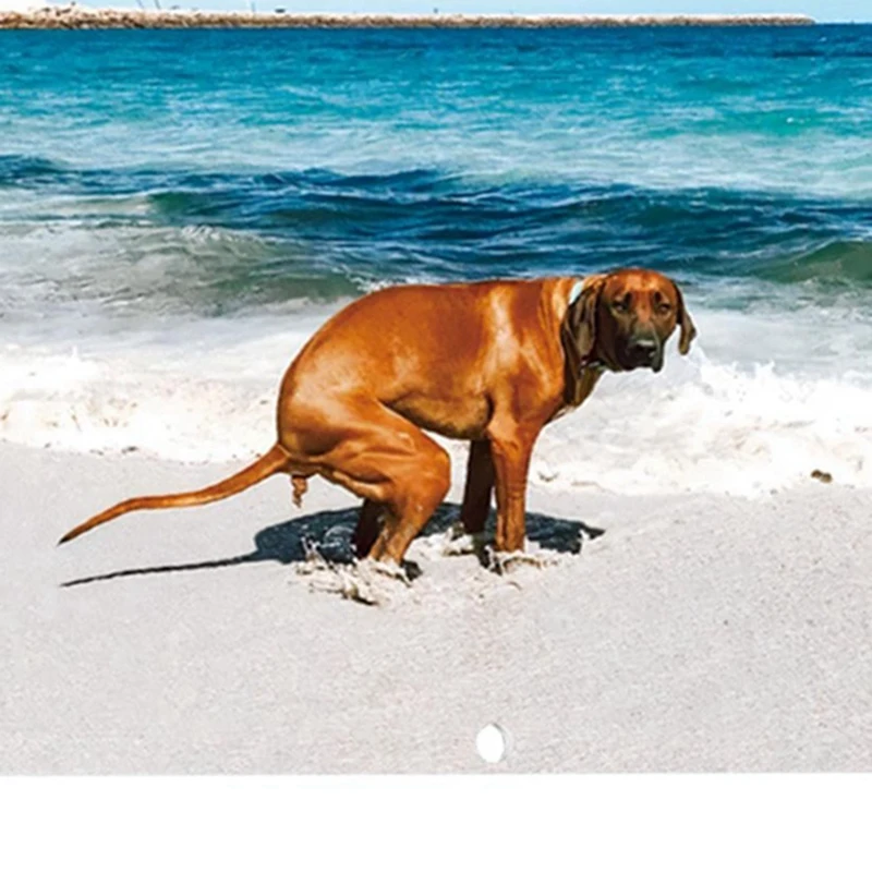 تقويم حائط بشكل كلب كما هو موضح بالورق ، مضحك 2024 ، بوتشيز مع أماكن جميلة ، تقويم مخطط للعائلة ، قطعة واحدة