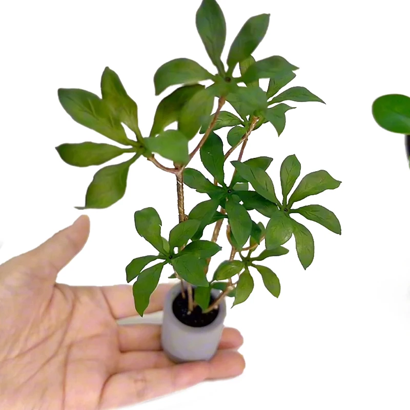 プラスチック製の鉢植えのミニチュア植木鉢,室内装飾用1:6,緑色の植物,盆栽モデル,庭の装飾,子供のためのシミュレーションゲーム