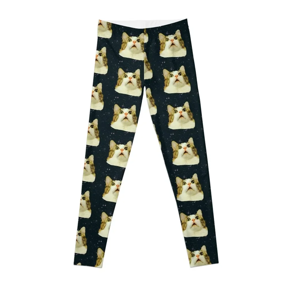 

Stunned Space Cat Leggings Training pants Women's tights Womens Leggings
