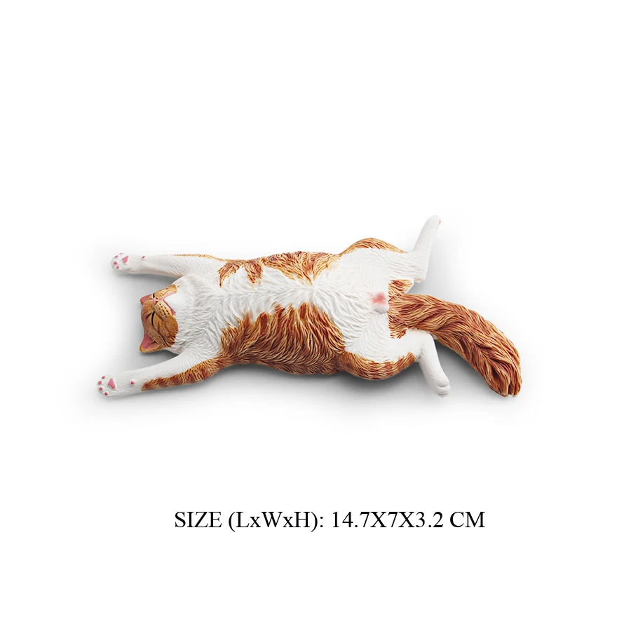 Cat -42