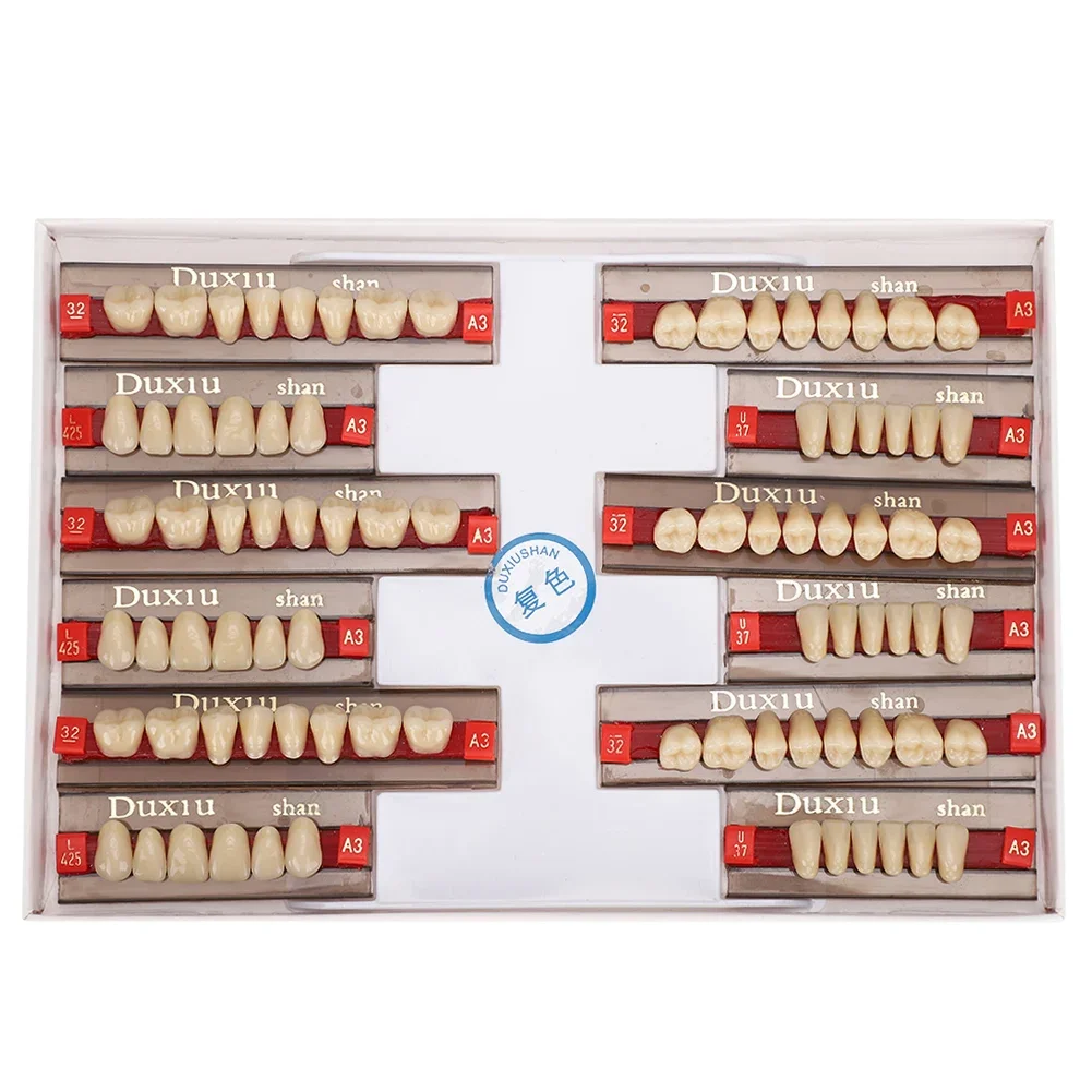 Gigi sintetis Resin sintetis gigi palsu, bahan Dental gigi tiruan perlengkapan dokter gigi untuk membuat Model pembelajaran gigi tiruan