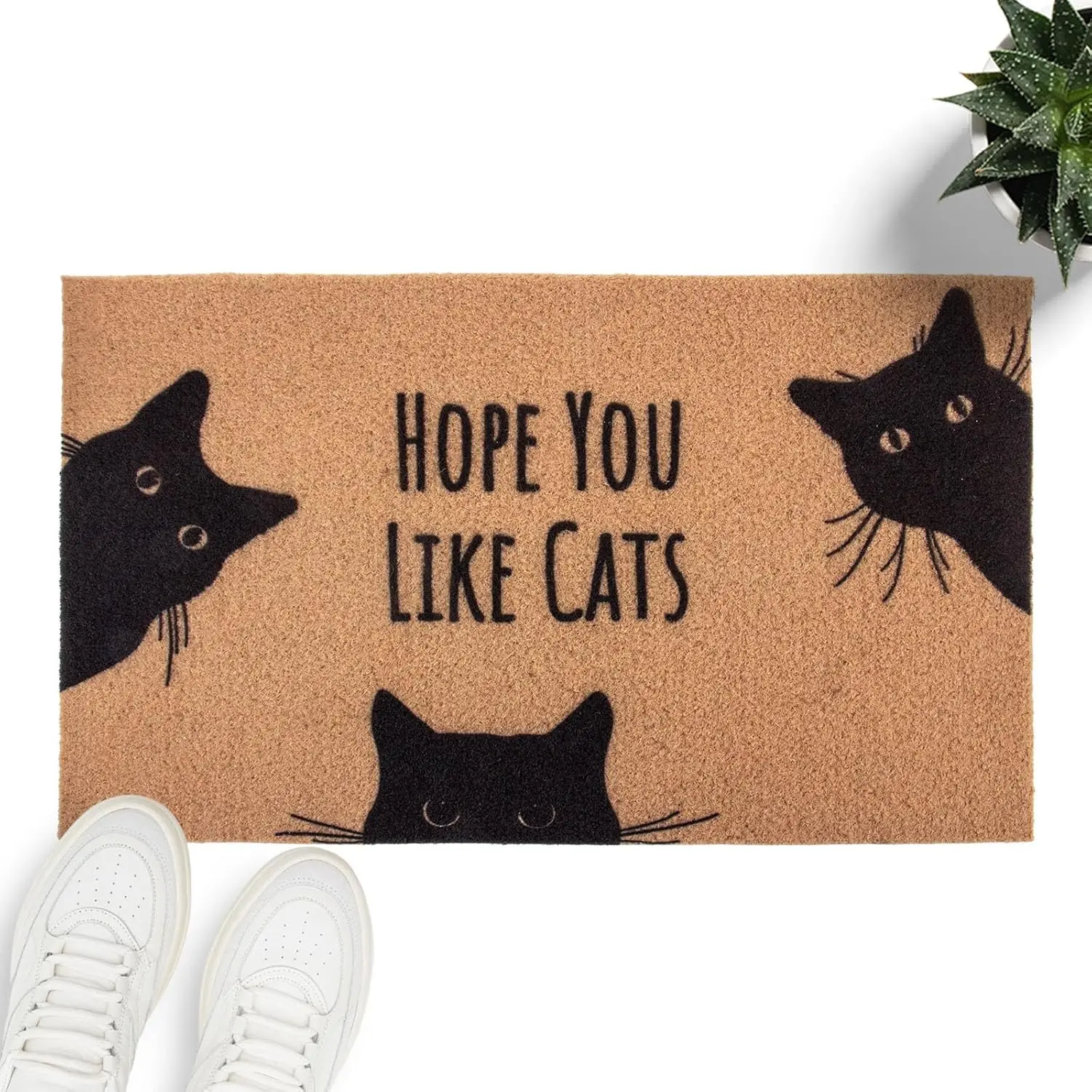 Funny Black Cat 