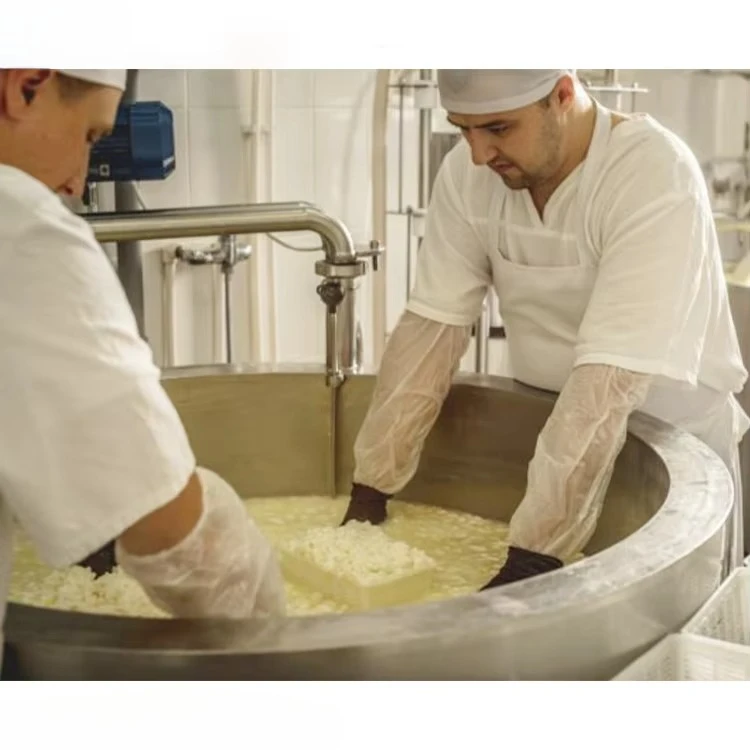 Industrial Mozzarella Cheese Making Machine Cheese Processing Machinery