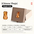 1pc Thuja
