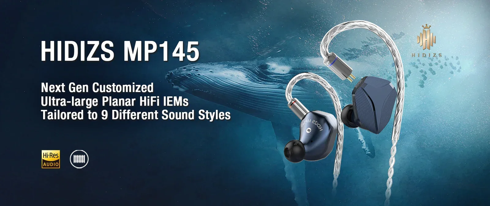 HIDIZS MP145 美品 Hidizs MP145 超大型平面磁気 HiFi インイヤーモニター高解像度