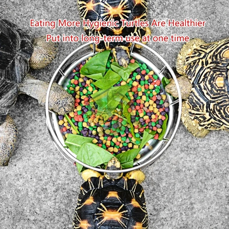 

Tortoise Feeding Basin 304 Stainless Steel Turtle Feeder S/M/L Semi-water Food Dispenser Bowl Reptile Feeding Tool