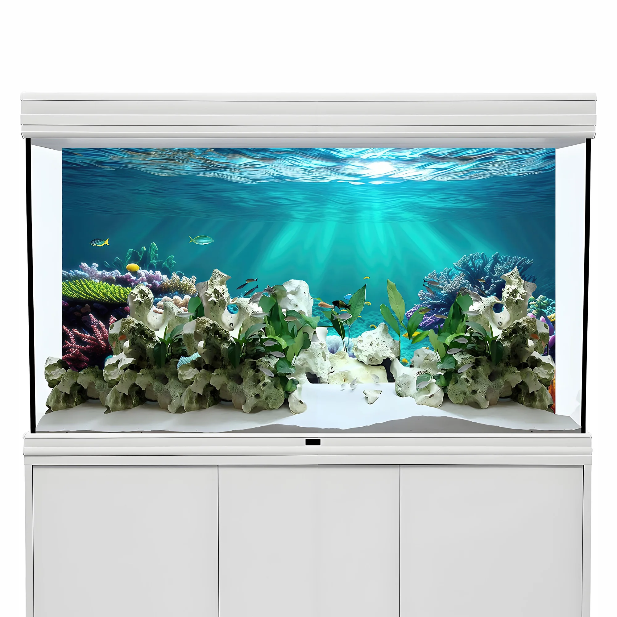 Rainbow coral，fish tank backgr - Aquarium Fish Rainbow review and price
