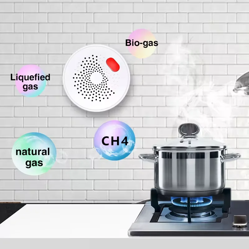 Tuya Smart Wifi Natural Gas Sensor Combustible Household LPG Gas Leakage Alarm Detector Smartlife APP Control With Alexa Google