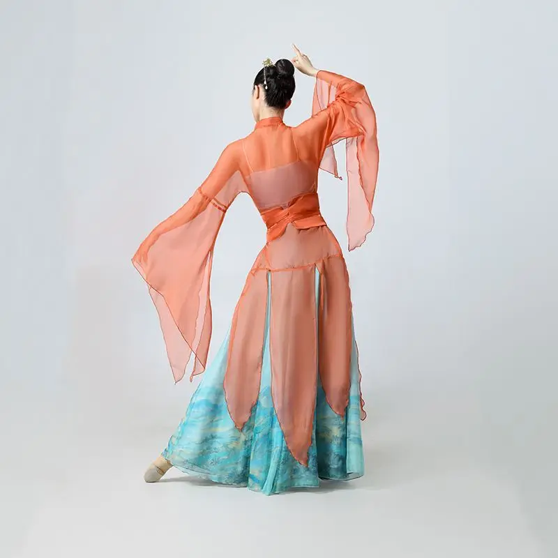 Chinese Style Folk Dance Dress Classical Dancer Performance Costumes Elegant Practice Clothes Chinese Chiffon Dnace Costume