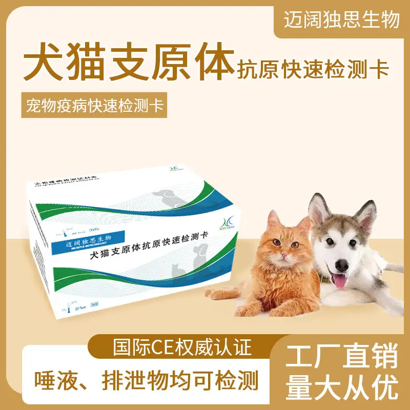 Rapid detection card for Mycoplasma antigen in dogs and cats, test strip for Mycoplasma detection in saliva of dogs and cats