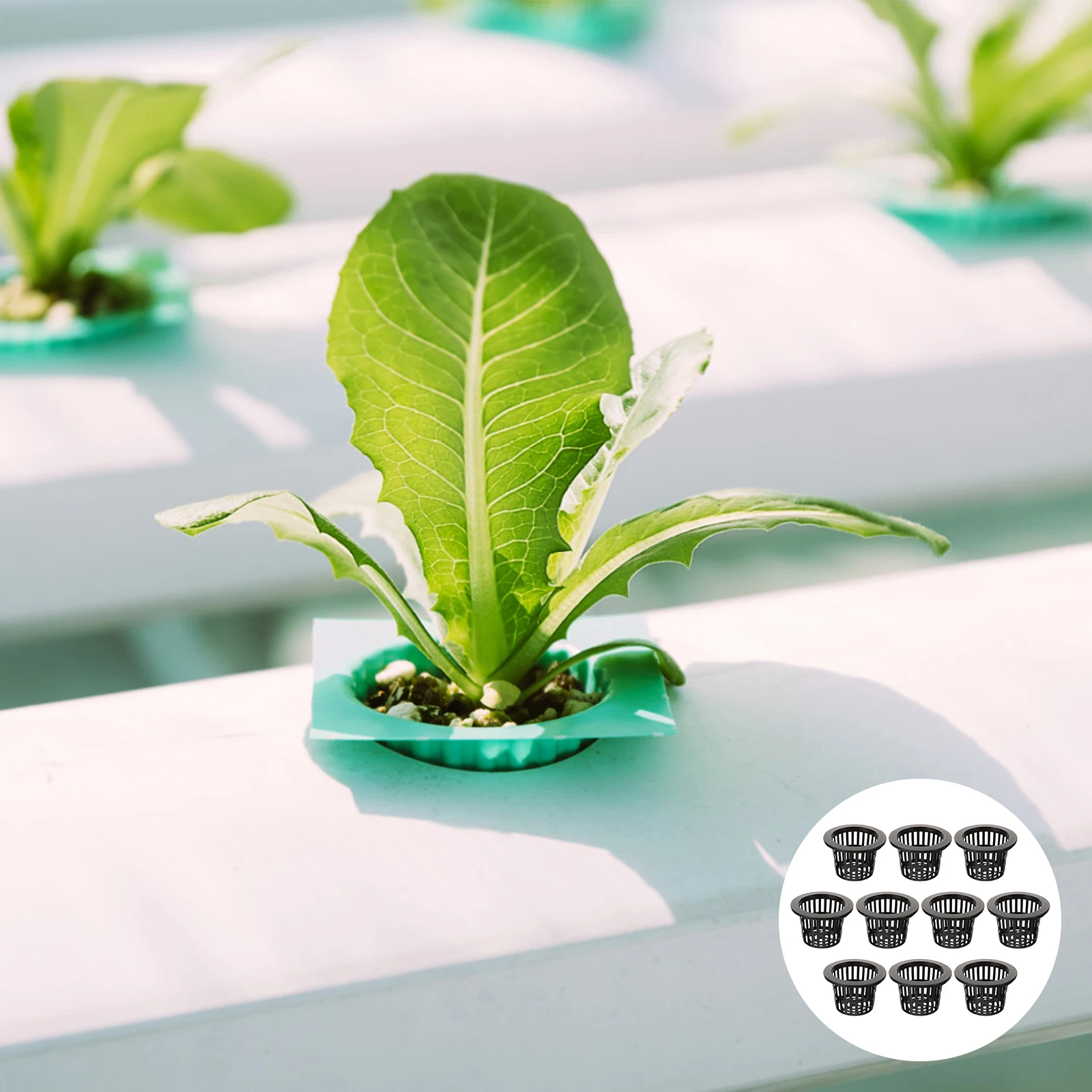 

10 шт. корзина для гидропонных посадки, горшки, сетчатая чашка для гидропоники, сетчатые контейнеры, пластиковые горшки