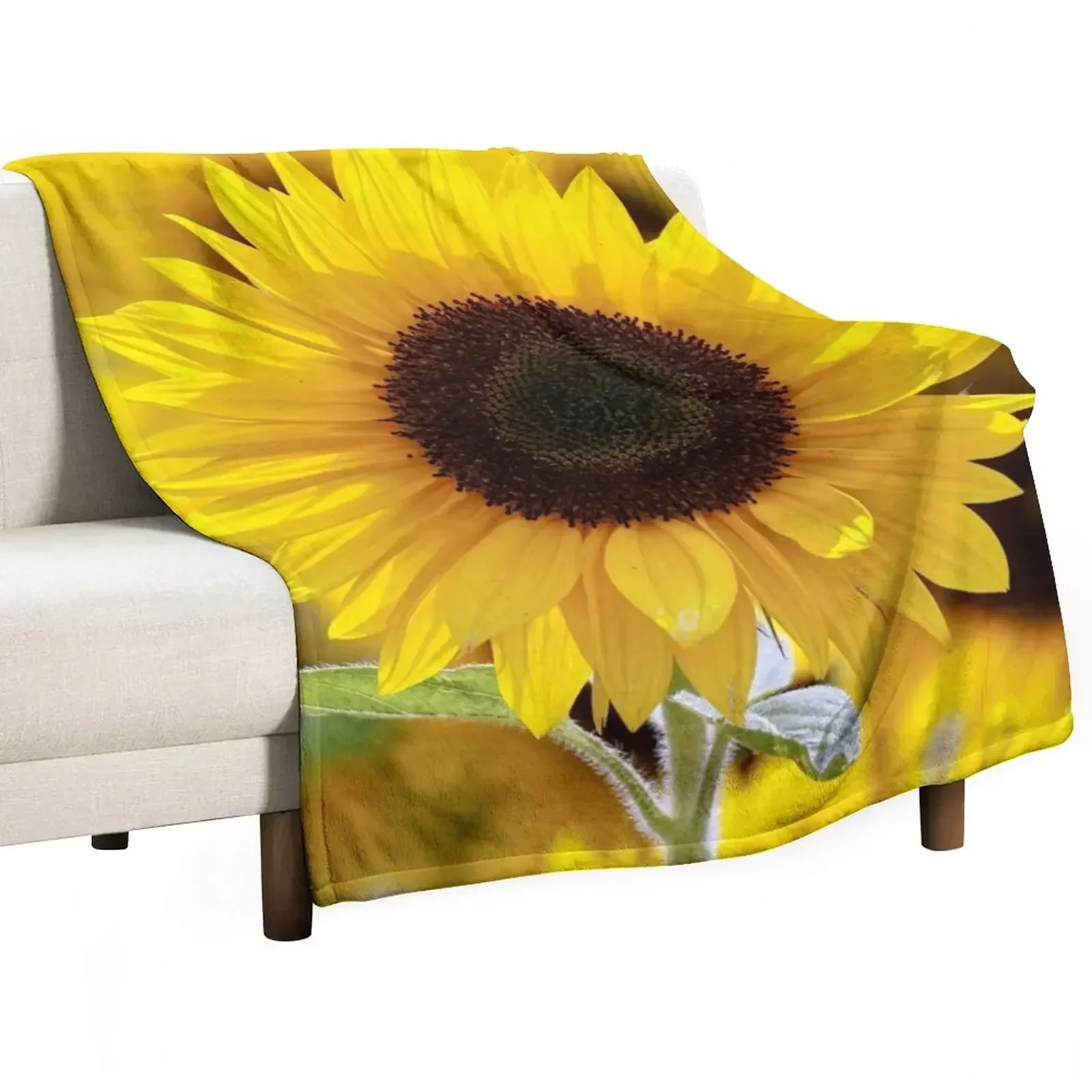 

New Sunflower Throw Blanket Plush Luxury anime decorative Blankets