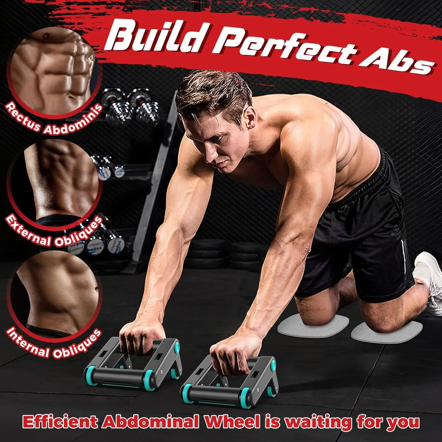 Ab Roller Wheel, 2-In-1 Exercise Roller Wheels, Push-Up Bar, Abdominal Exercise Machine, Ab Workout Equipment for Core Strength