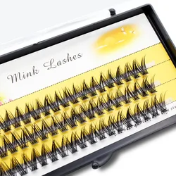 Super Thick Phoenix Tail Cluster Eyelashes Extension 20D/30D Silk Individual Natural 60 Bunches Mink Lashes Soft Cilos 3D Volume