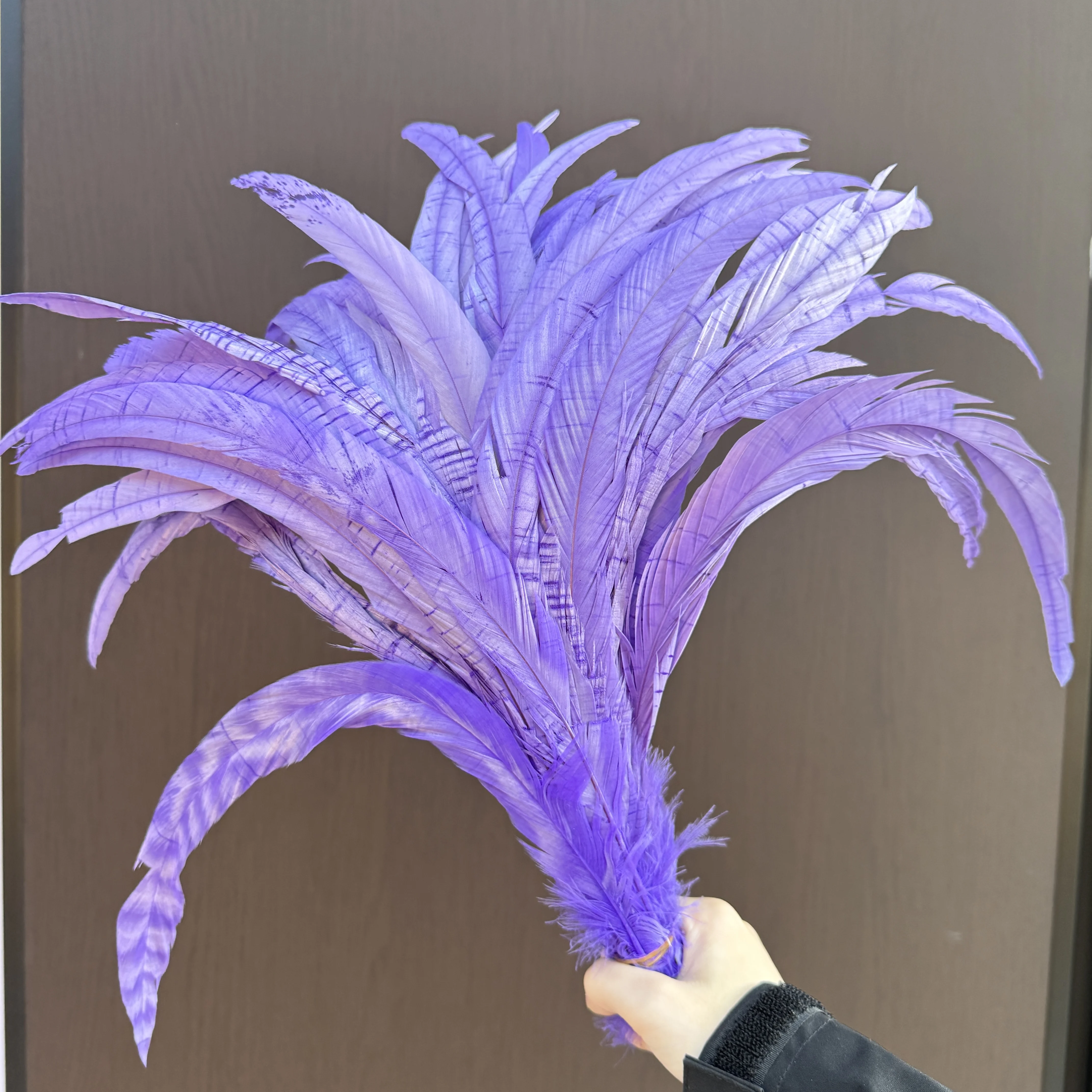 

500 Pcs Dyed Rooster Tail Feathers for Crafts Carnival Headdress Costume Design Decoration Bulk Chicken Feather Wholesale