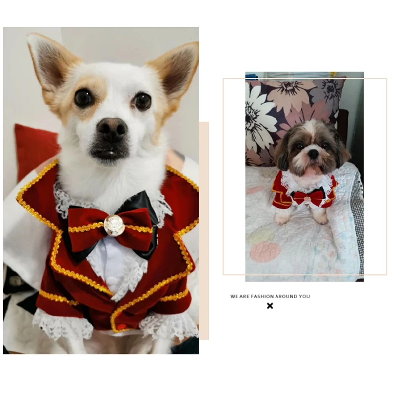 2022 Customizable Vampire Jacket Shirt Bow Set Dog Cat Dress Teddy Bichon Yorkshire Corgi Halloween Birthday Party Dog Clothes