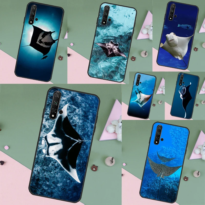 Animal Manta Ray Fo… - image