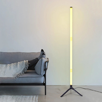 103CM Floor Lamp 5V RGB IC Corner Lamp Suitable for Bedroom Fun Game Room Decoration Atmosphere Light Fast Delivery