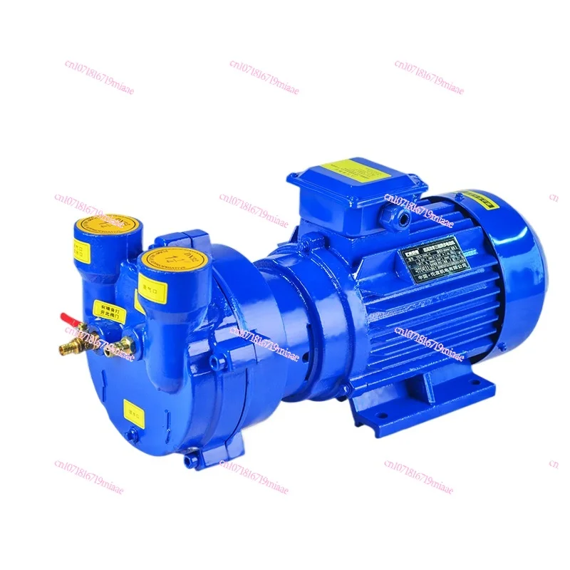 

Small Water Ring Vacuum Pump 2bv5121 Vacuum Integrated Oil-Free