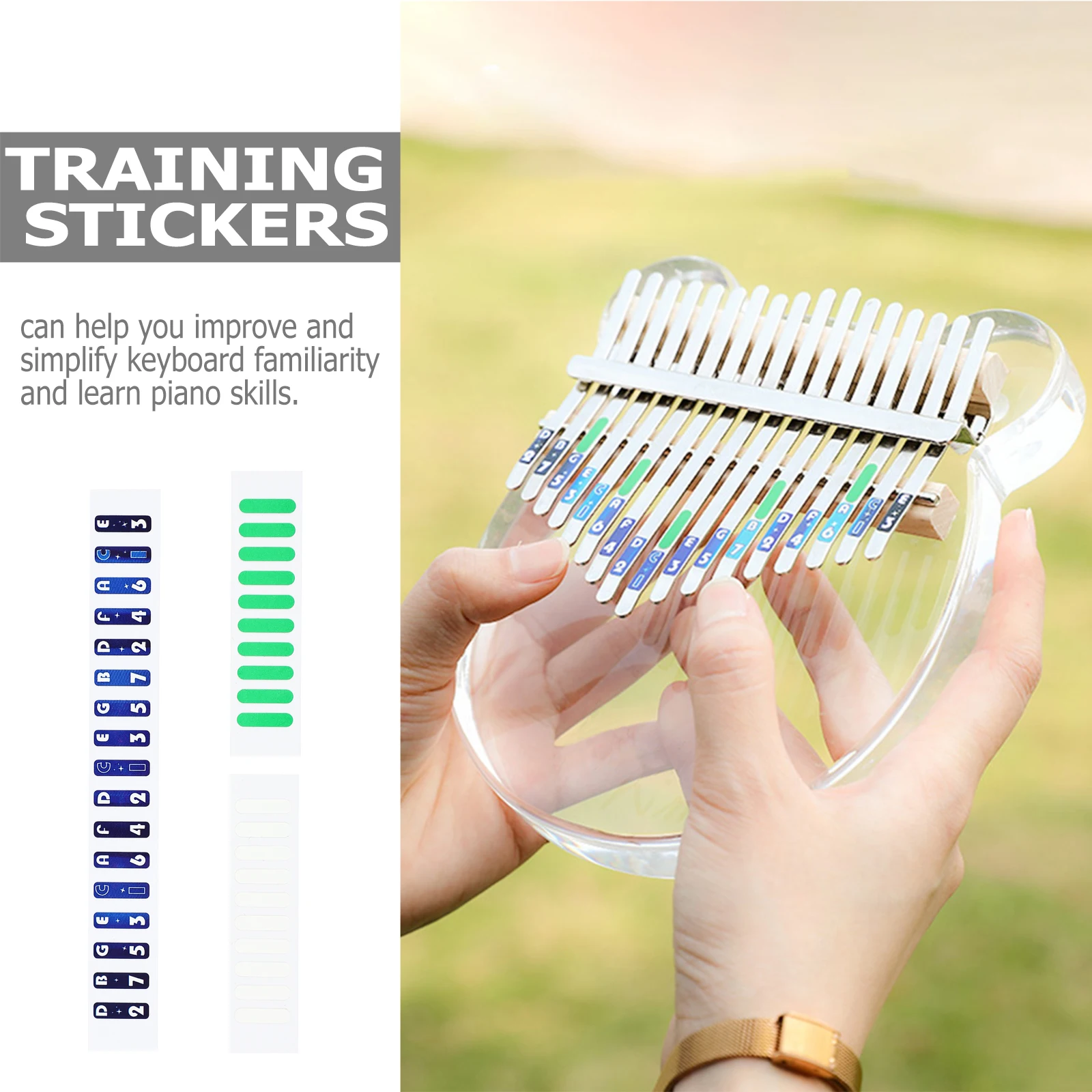 

Scale Stickers Thumb Piano Practice Keyboard Note Labels Accessories Paper Durable Clear
