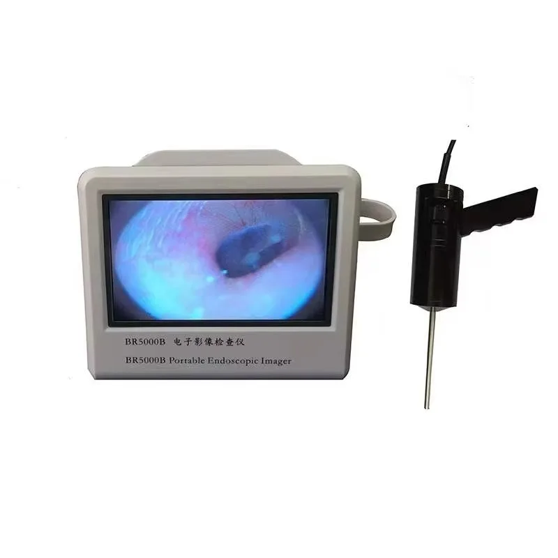 

Shanghai Pujia PJBK-01 Digital Veterinary Otoscope for Pet Dog & Cat Exam 9-inch LCD Display Identification Hospital Use