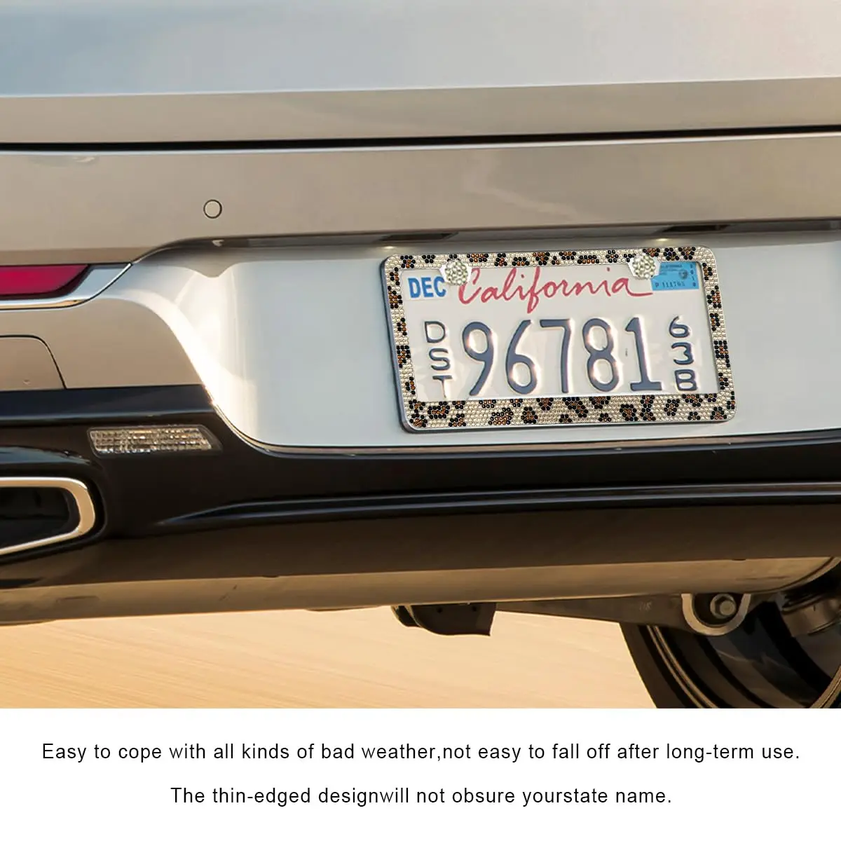 Leopard Aluminum Car License Plate Frame, 2 PC Cheetah Print License Plate Covers, Standard Durable License Plate Holders for Women & Men, Car Accessories 4 Holes with Screws 12.3 X 6.3 in