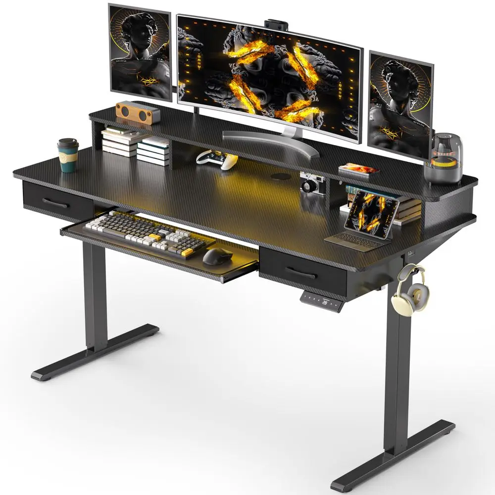 

55x24 Inches Electric Standing Desk with Keyboard Tray, Height Adjustable Stand up Desk with 2 Drawers, Ergonomic Sit to Stand